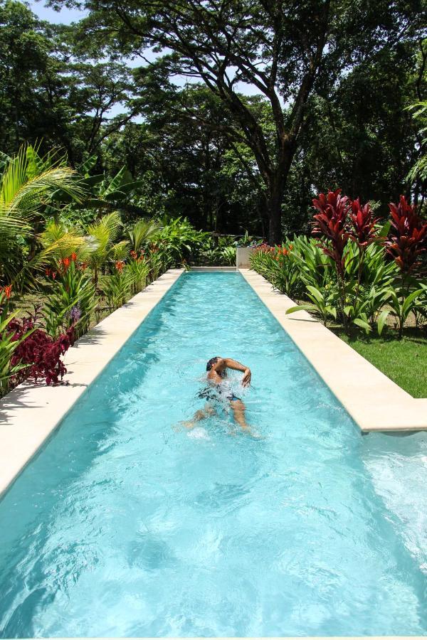 Feeling Trees Jungle Lodge Cabuya  エクステリア 写真