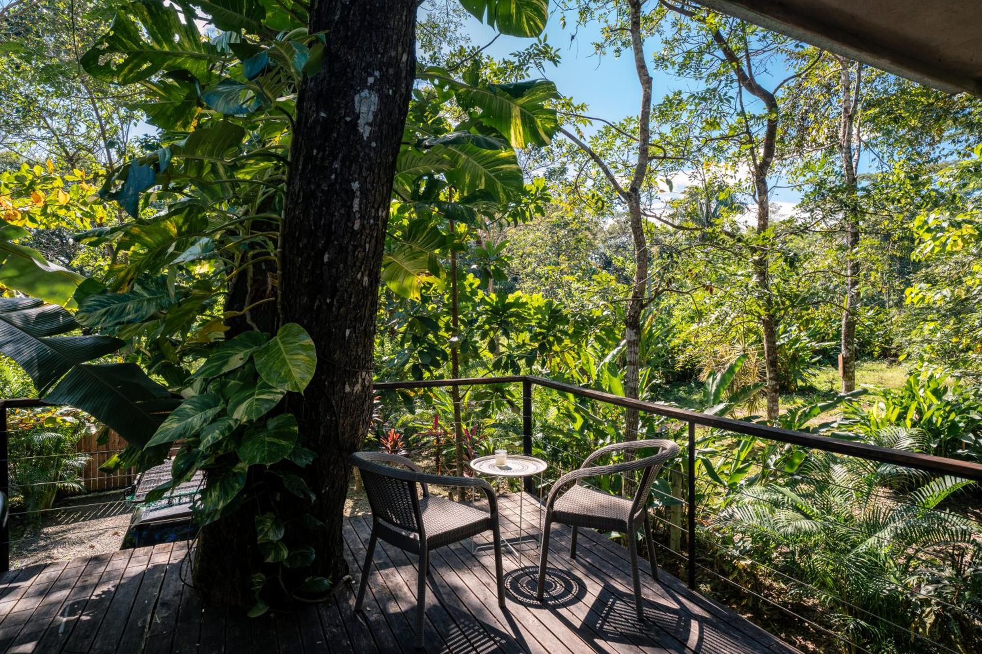 Feeling Trees Jungle Lodge Cabuya  エクステリア 写真