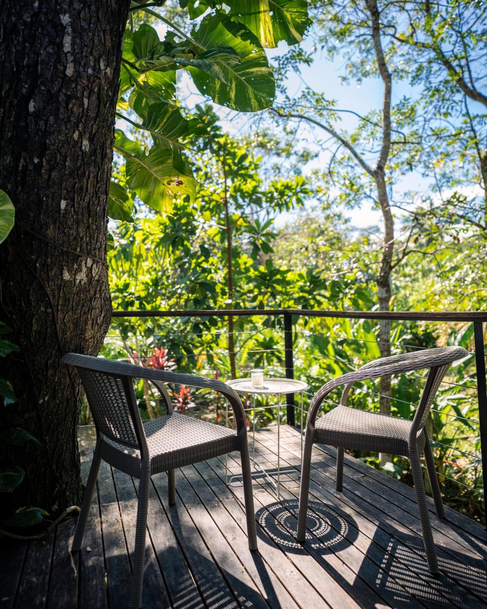 Feeling Trees Jungle Lodge Cabuya  エクステリア 写真