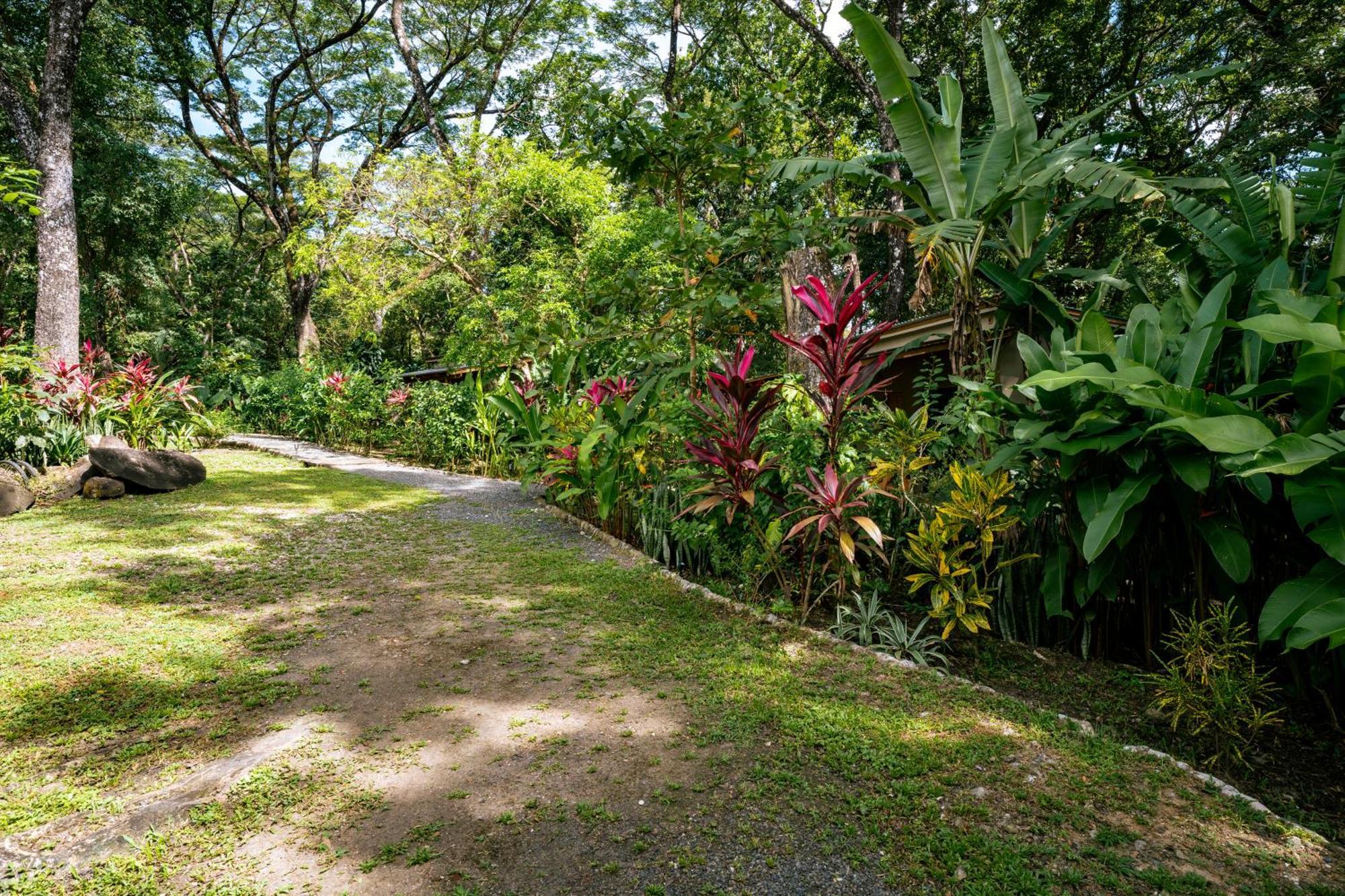 Feeling Trees Jungle Lodge Cabuya  エクステリア 写真