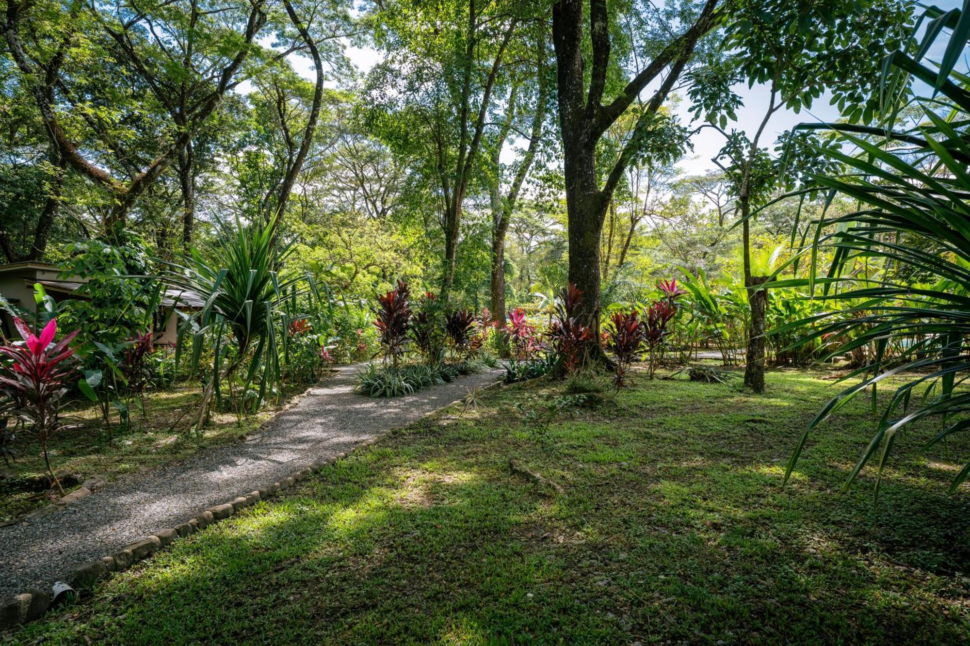 Feeling Trees Jungle Lodge Cabuya  エクステリア 写真