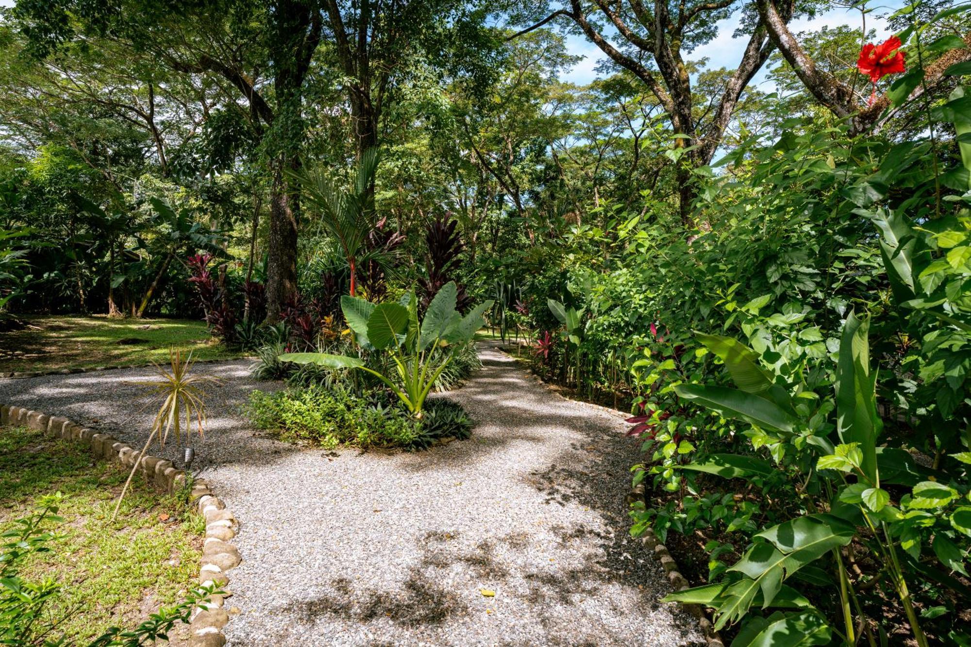 Feeling Trees Jungle Lodge Cabuya  エクステリア 写真