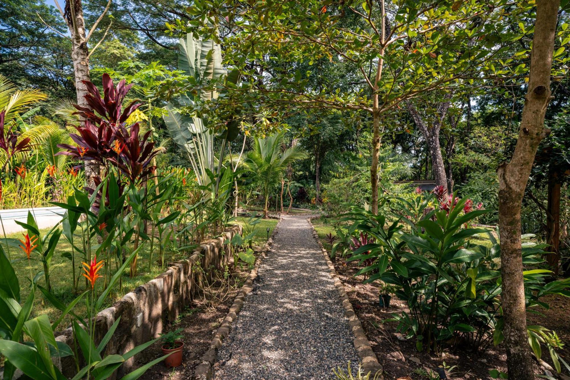 Feeling Trees Jungle Lodge Cabuya  エクステリア 写真