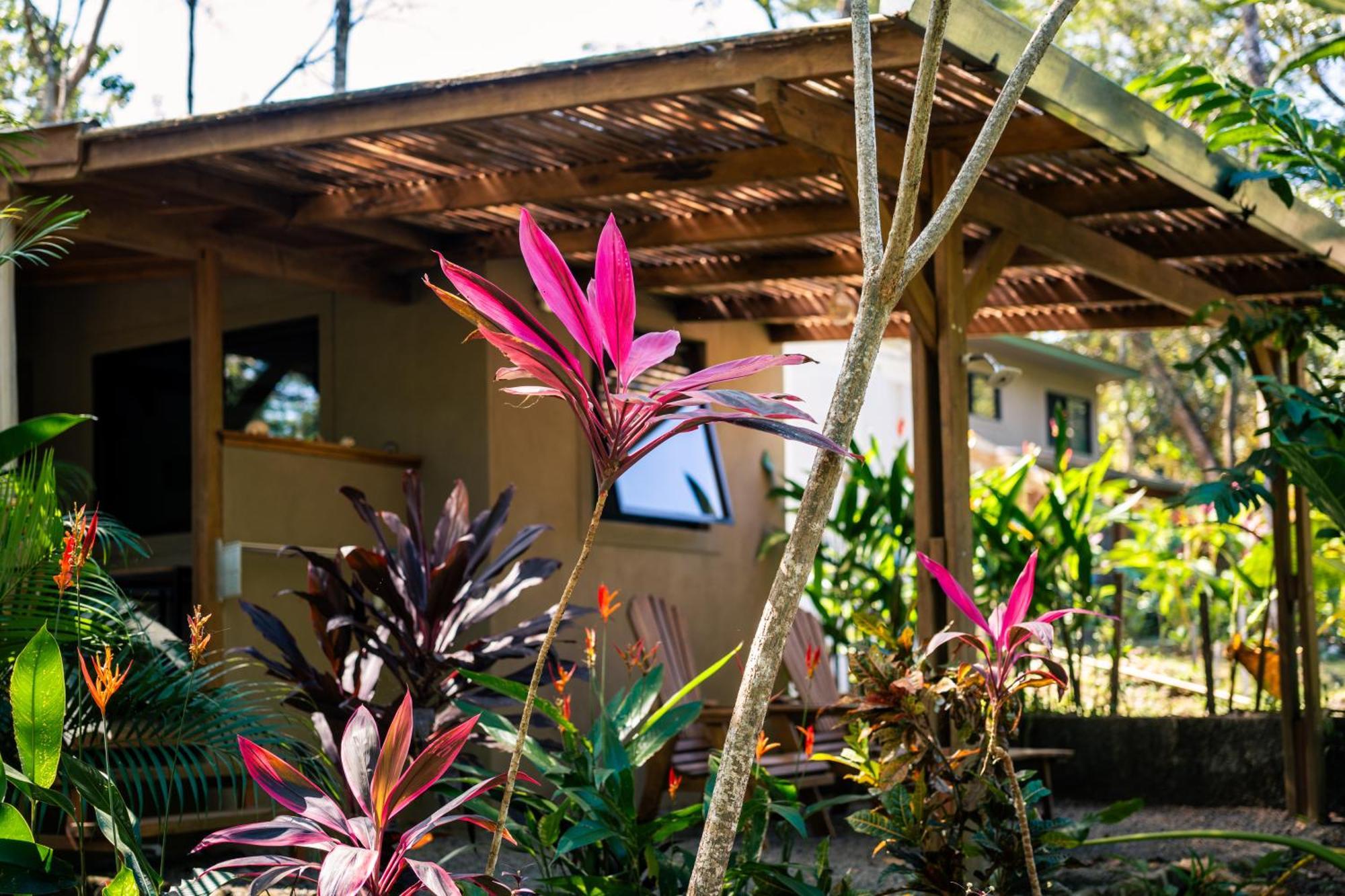 Feeling Trees Jungle Lodge Cabuya  エクステリア 写真